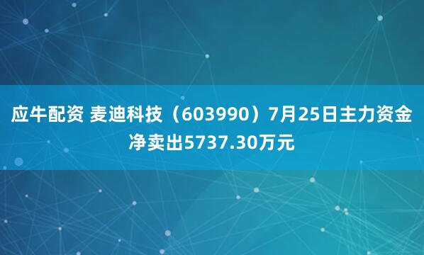 应牛配资 麦迪科技（603990）7月25日主力资金净卖出5737.30万元