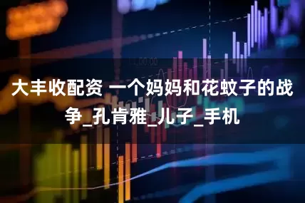 大丰收配资 一个妈妈和花蚊子的战争_孔肯雅_儿子_手机
