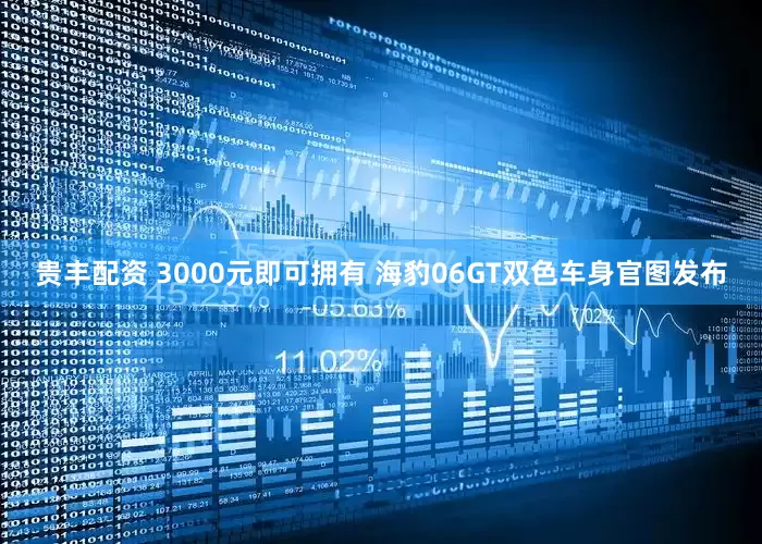 贵丰配资 3000元即可拥有 海豹06GT双色车身官图发布